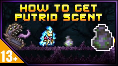 Terraria putrid scent. Things To Know About Terraria putrid scent. 